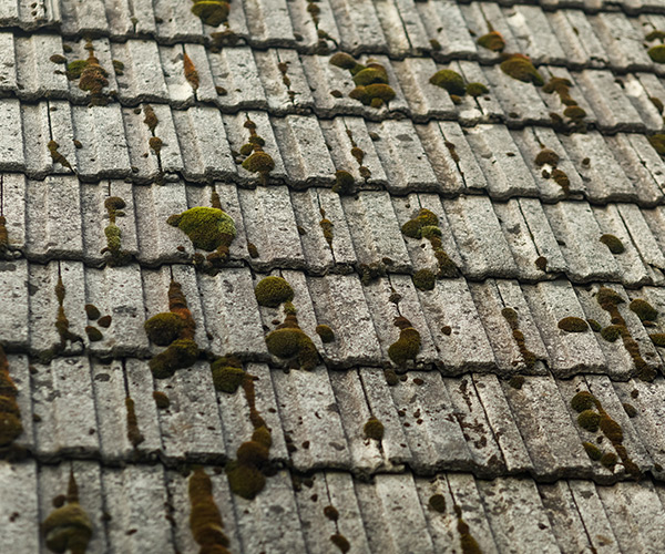 Nettoyage et demoussage de toiture à Levallois-Perret (92300) dans les Hauts de Seine (92).